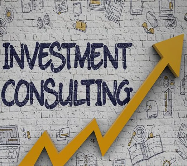 Investment Consultancy
